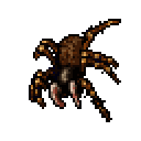 Tarantula