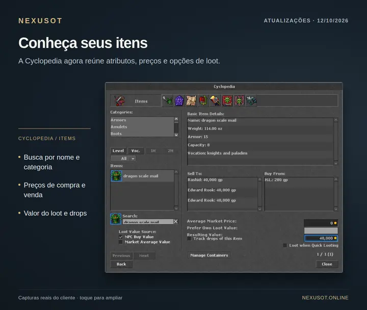 Items na Cyclopedia: busca, atributos do equipamento, preços de NPC e configuração do valor de loot. Captura real do cliente Windows.